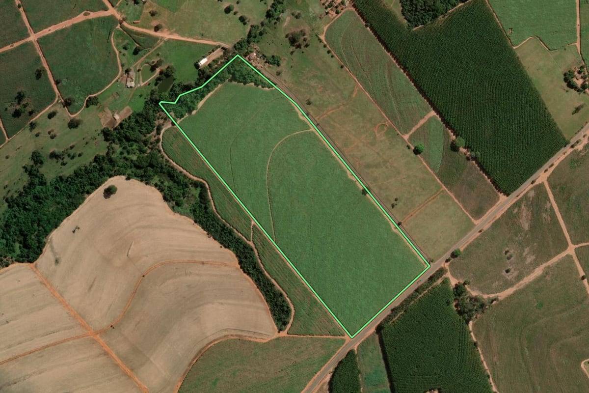 Imagem de satélite do imóvel rural em Nipoã (SP), com o contorno declarado no CAR desenhado por cima.