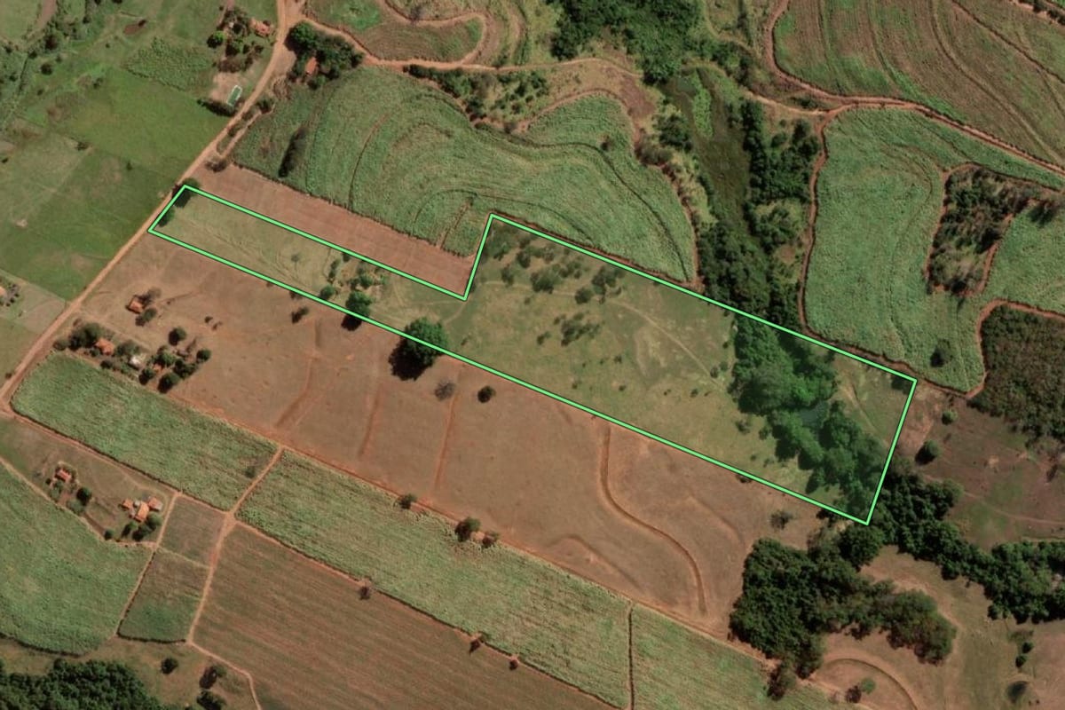 Imagem de satélite do imóvel rural em Nipoã (SP), com o contorno declarado no CAR desenhado por cima.