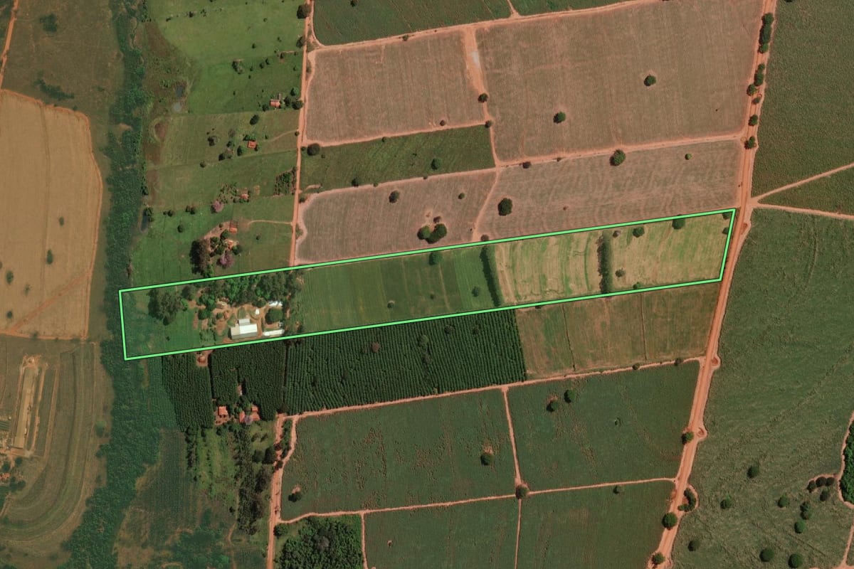 Imagem de satélite do imóvel rural em Nova Aliança (SP), com o contorno declarado no CAR desenhado por cima.