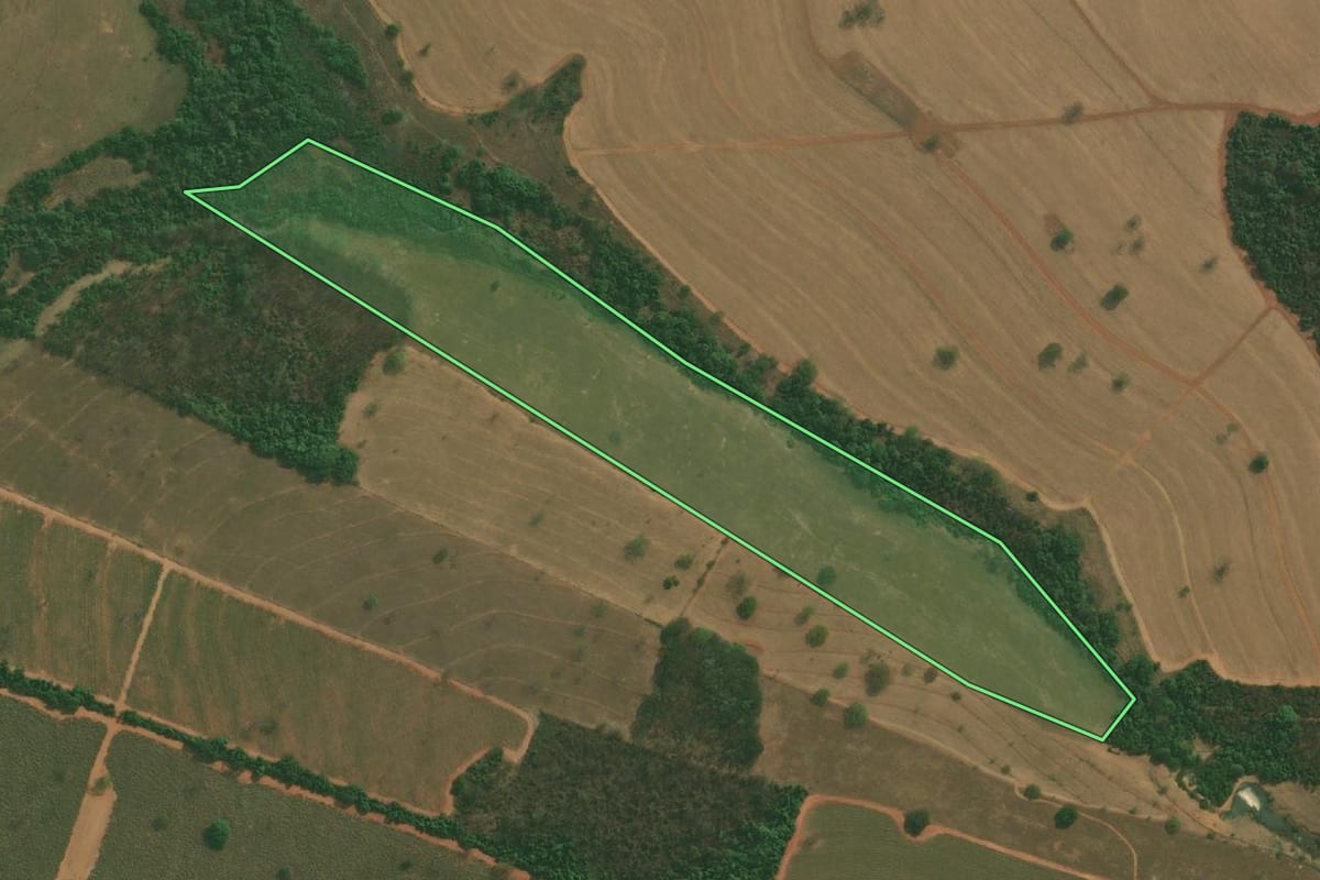 Imagem de satélite do imóvel rural em Nova Aliança (SP), com o contorno declarado no CAR desenhado por cima.