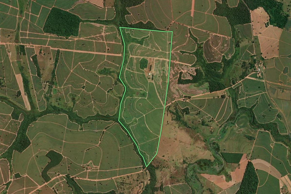 Imagem de satélite do imóvel rural em Nova Aliança (SP), com o contorno declarado no CAR desenhado por cima.