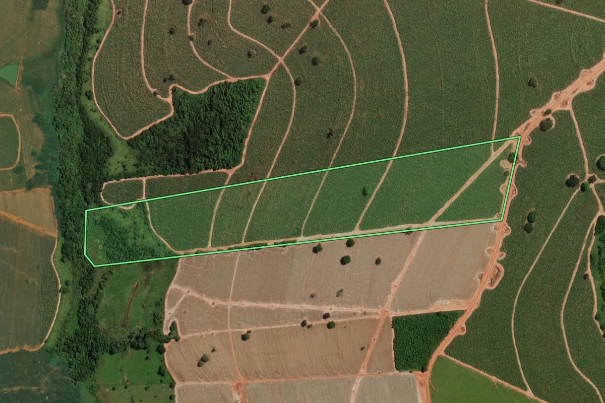 Imagem de satélite do imóvel rural em Nova Aliança (SP), com o contorno declarado no CAR desenhado por cima.