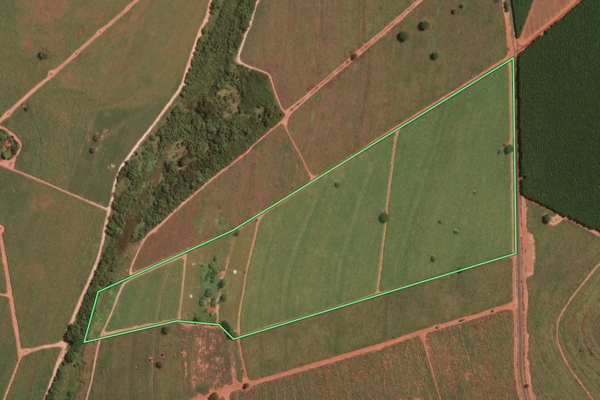 Imagem de satélite do imóvel rural em Nova Aliança (SP), com o contorno declarado no CAR desenhado por cima.