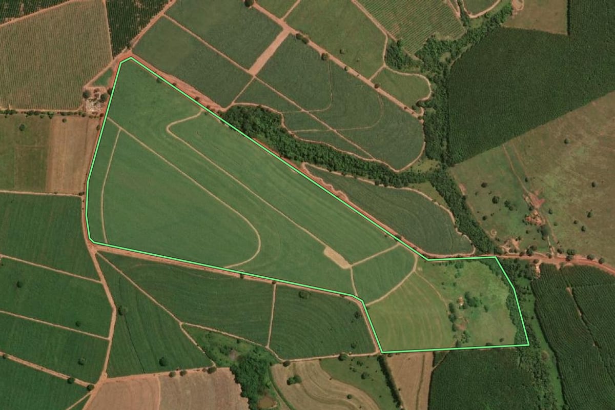 Imagem de satélite do imóvel rural em Nova Aliança (SP), com o contorno declarado no CAR desenhado por cima.