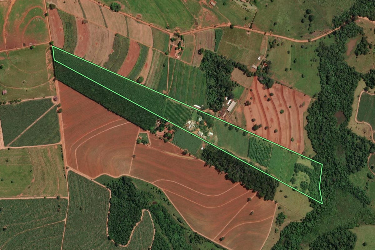 Imagem de satélite do imóvel rural em Nova Aliança (SP), com o contorno declarado no CAR desenhado por cima.