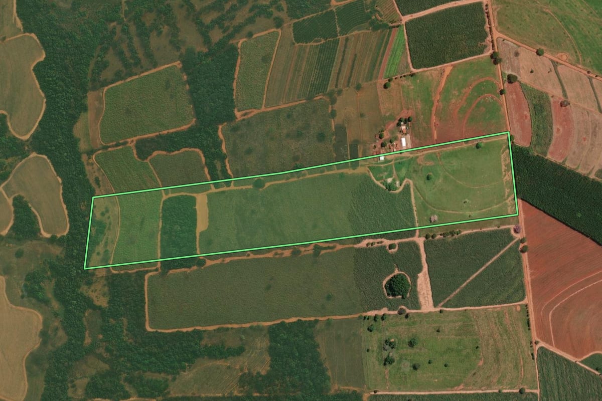 Imagem de satélite do imóvel rural em Nova Aliança (SP), com o contorno declarado no CAR desenhado por cima.
