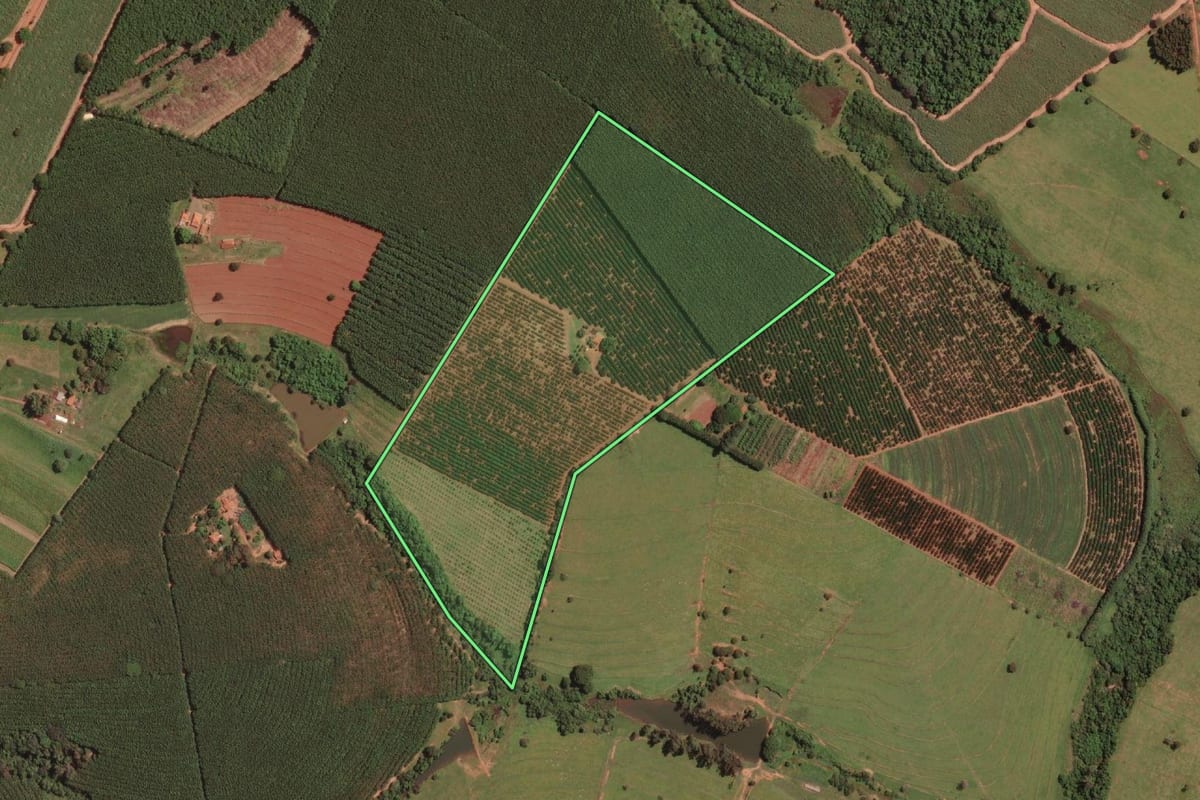 Imagem de satélite do imóvel rural em Nova Aliança (SP), com o contorno declarado no CAR desenhado por cima.