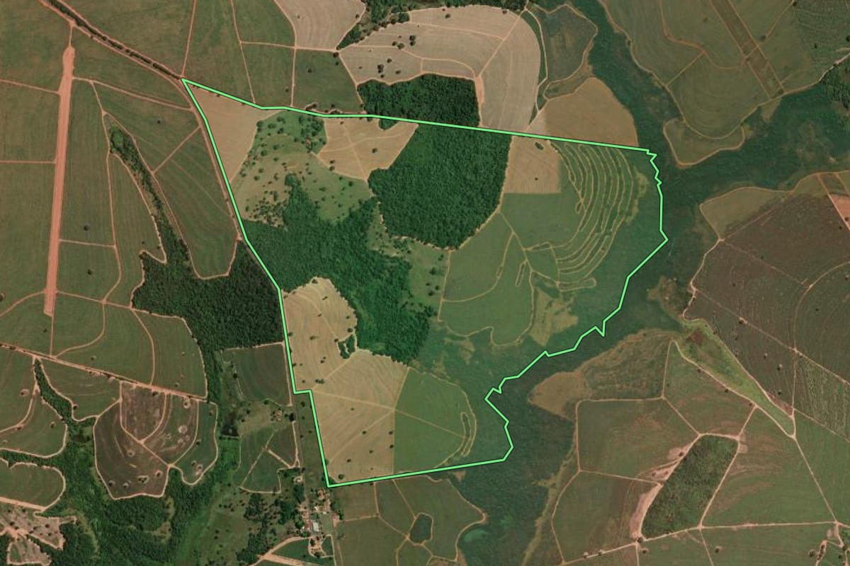Imagem de satélite do imóvel rural em Nova Aliança (SP), com o contorno declarado no CAR desenhado por cima.