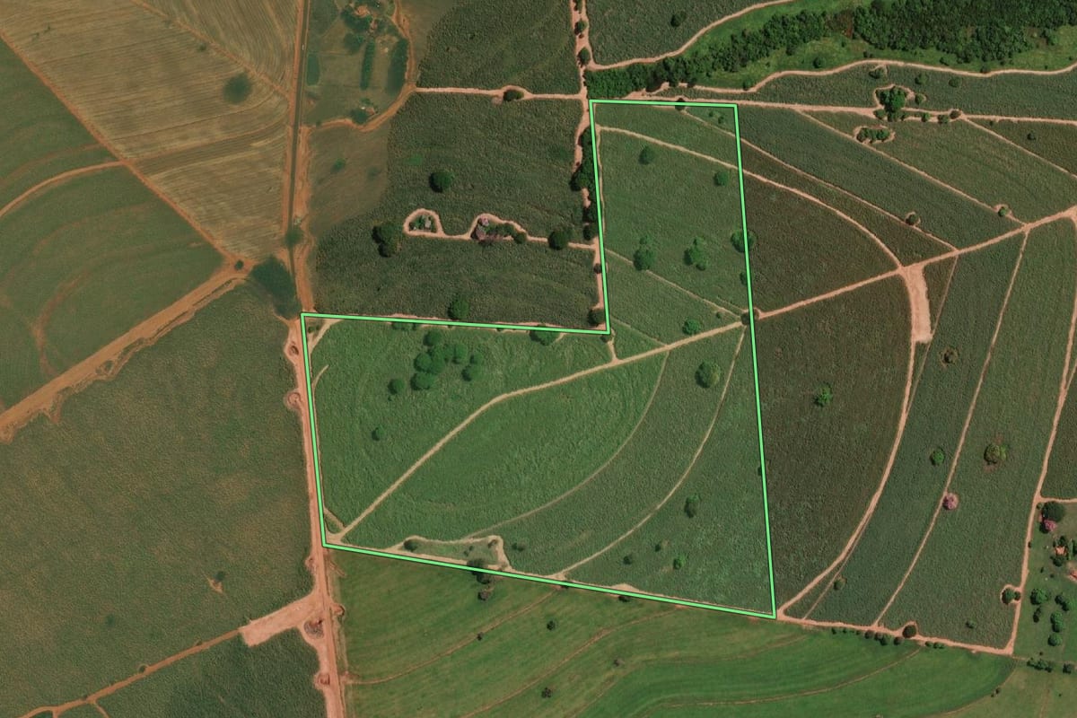 Imagem de satélite do imóvel rural em Nova Aliança (SP), com o contorno declarado no CAR desenhado por cima.