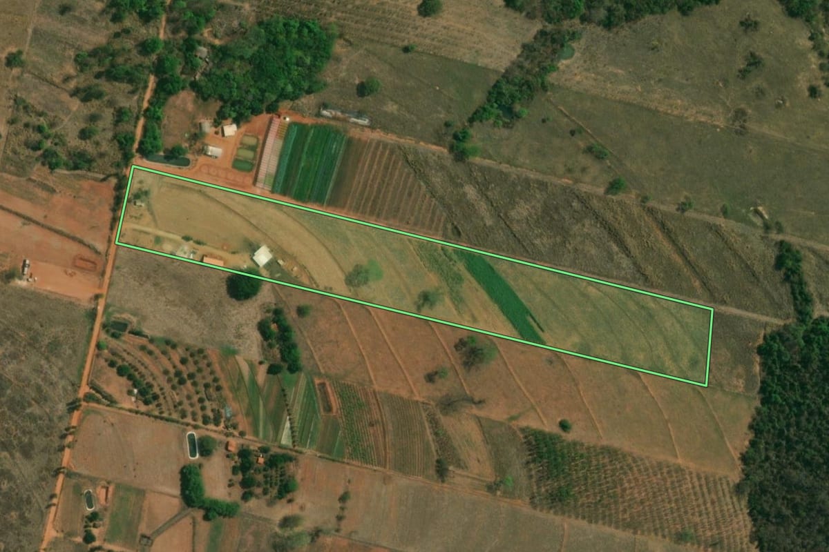Imagem de satélite do imóvel rural em Nova Aliança (SP), com o contorno declarado no CAR desenhado por cima.