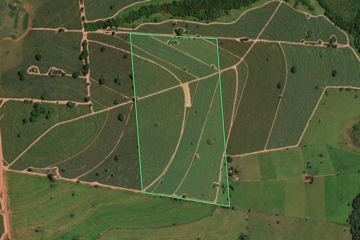Imagem de satélite do imóvel rural em Nova Aliança (SP), com o contorno declarado no CAR desenhado por cima.