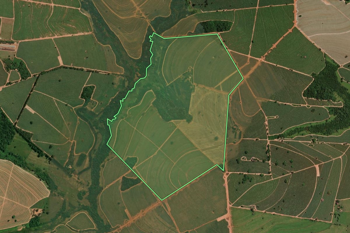 Imagem de satélite do imóvel rural em Nova Aliança (SP), com o contorno declarado no CAR desenhado por cima.