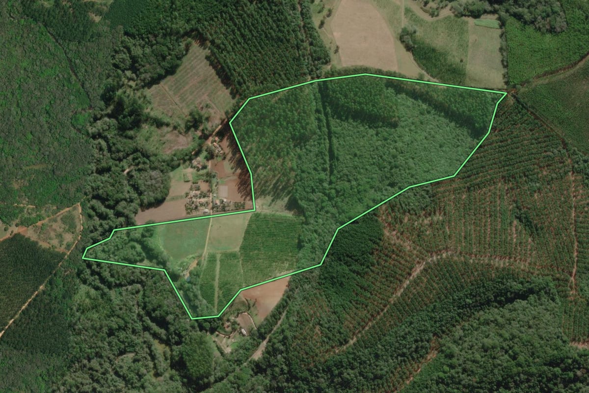 Imagem de satélite do imóvel rural em Nova Campina (SP), com o contorno declarado no CAR desenhado por cima.