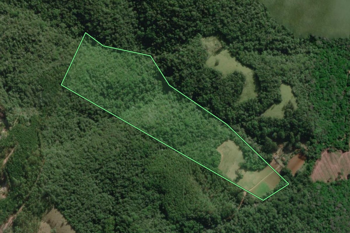 Imagem de satélite do imóvel rural em Nova Campina (SP), com o contorno declarado no CAR desenhado por cima.
