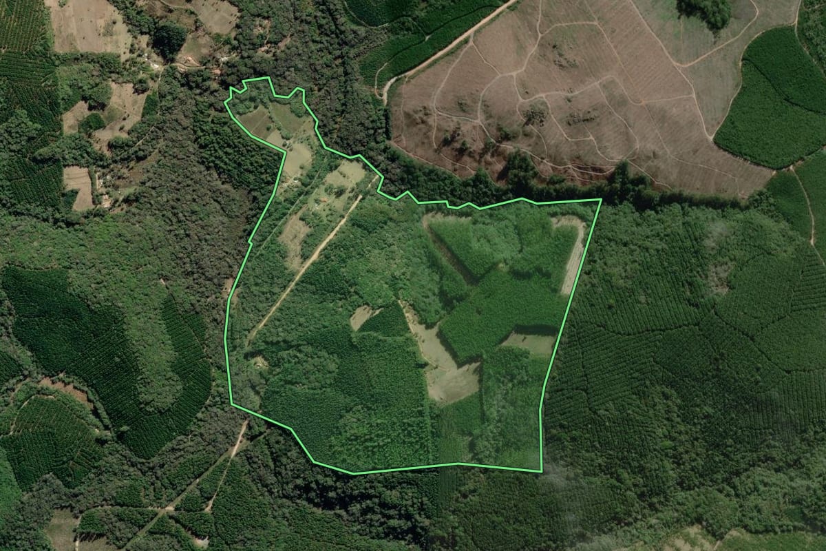 Imagem de satélite do imóvel rural em Nova Campina (SP), com o contorno declarado no CAR desenhado por cima.