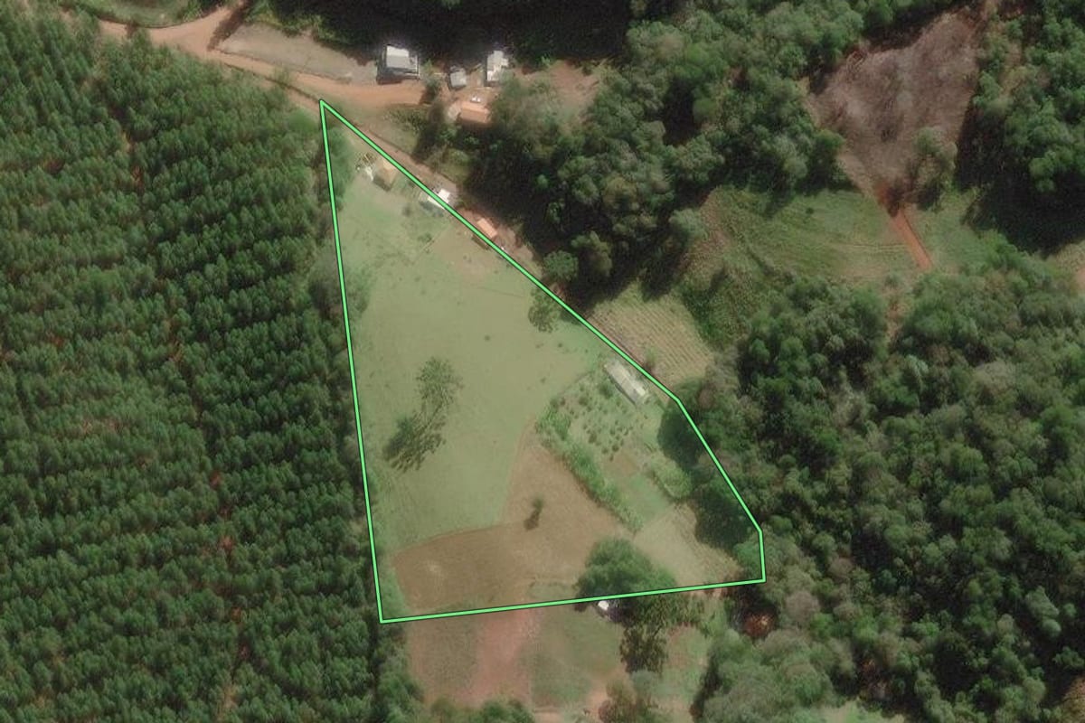 Imagem de satélite do imóvel rural em Nova Campina (SP), com o contorno declarado no CAR desenhado por cima.