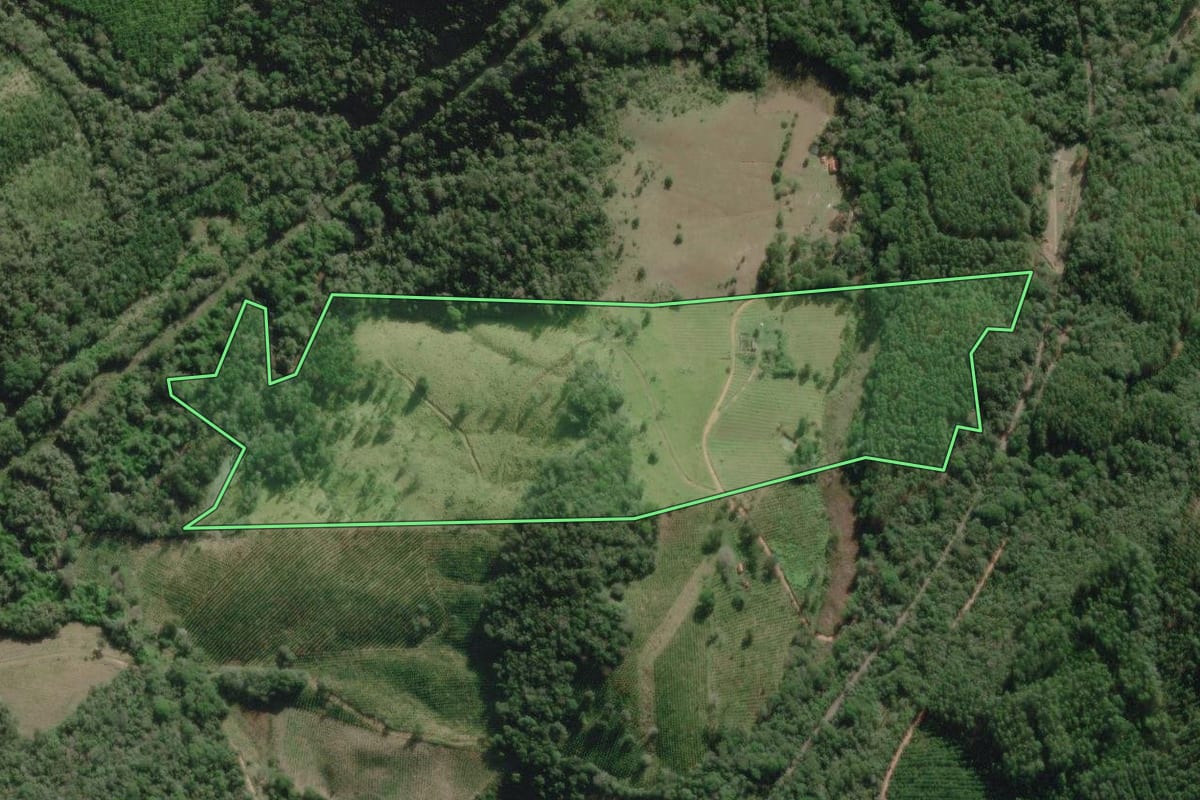 Imagem de satélite do imóvel rural em Nova Campina (SP), com o contorno declarado no CAR desenhado por cima.