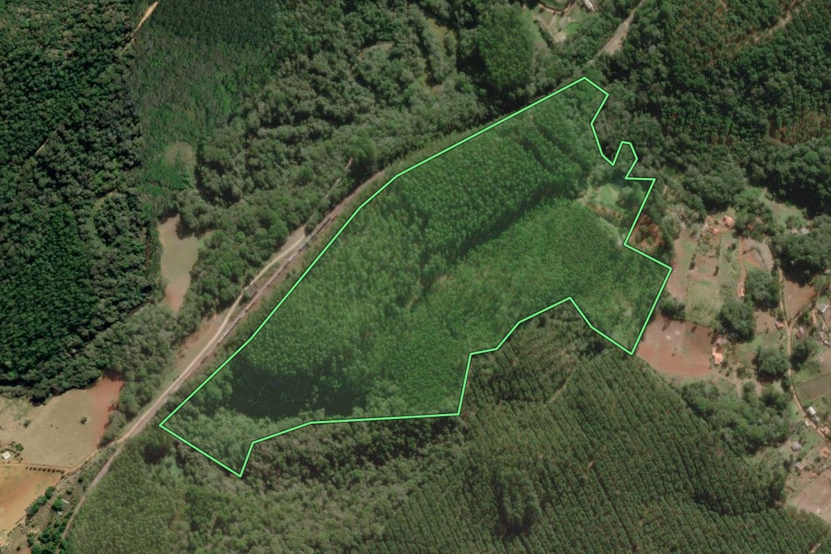 Imagem de satélite do imóvel rural em Nova Campina (SP), com o contorno declarado no CAR desenhado por cima.