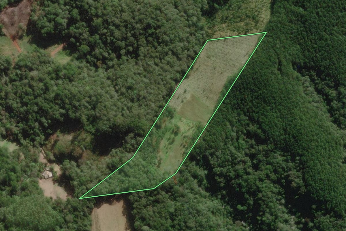 Imagem de satélite do imóvel rural em Nova Campina (SP), com o contorno declarado no CAR desenhado por cima.