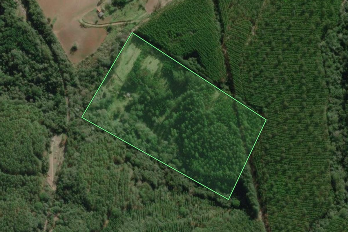 Imagem de satélite do imóvel rural em Nova Campina (SP), com o contorno declarado no CAR desenhado por cima.