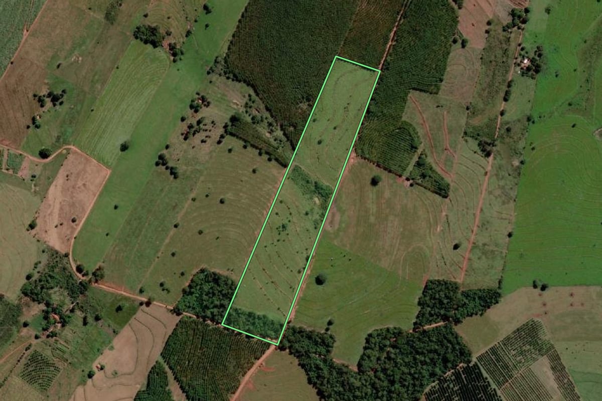 Imagem de satélite do imóvel rural em Nova Canaã Paulista (SP), com o contorno declarado no CAR desenhado por cima.