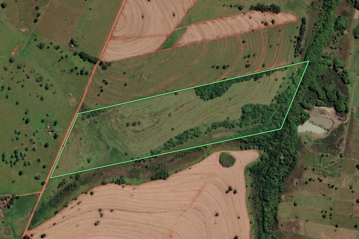 Imagem de satélite do imóvel rural em Nova Canaã Paulista (SP), com o contorno declarado no CAR desenhado por cima.