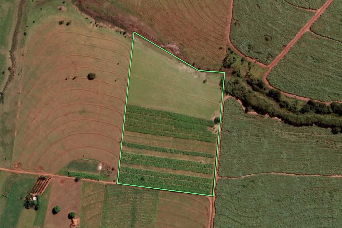 Imagem de satélite do imóvel rural em Nova Canaã Paulista (SP), com o contorno declarado no CAR desenhado por cima.