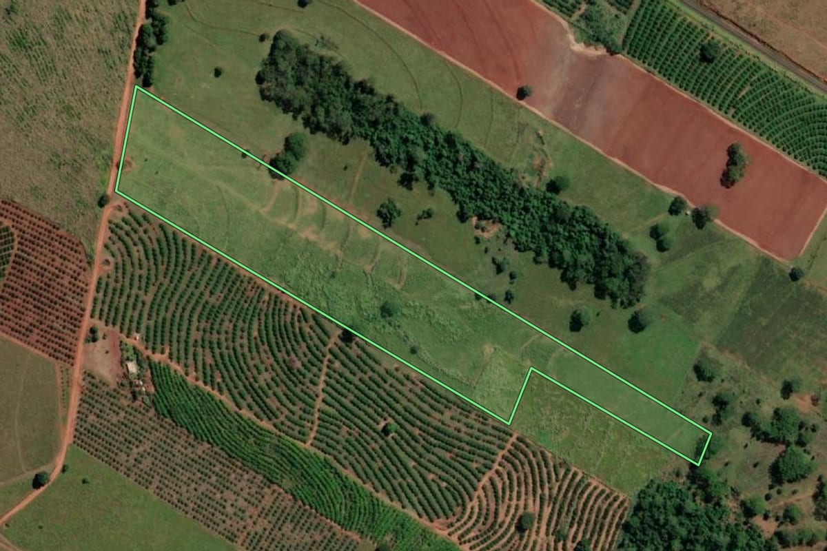 Imagem de satélite do imóvel rural em Nova Canaã Paulista (SP), com o contorno declarado no CAR desenhado por cima.