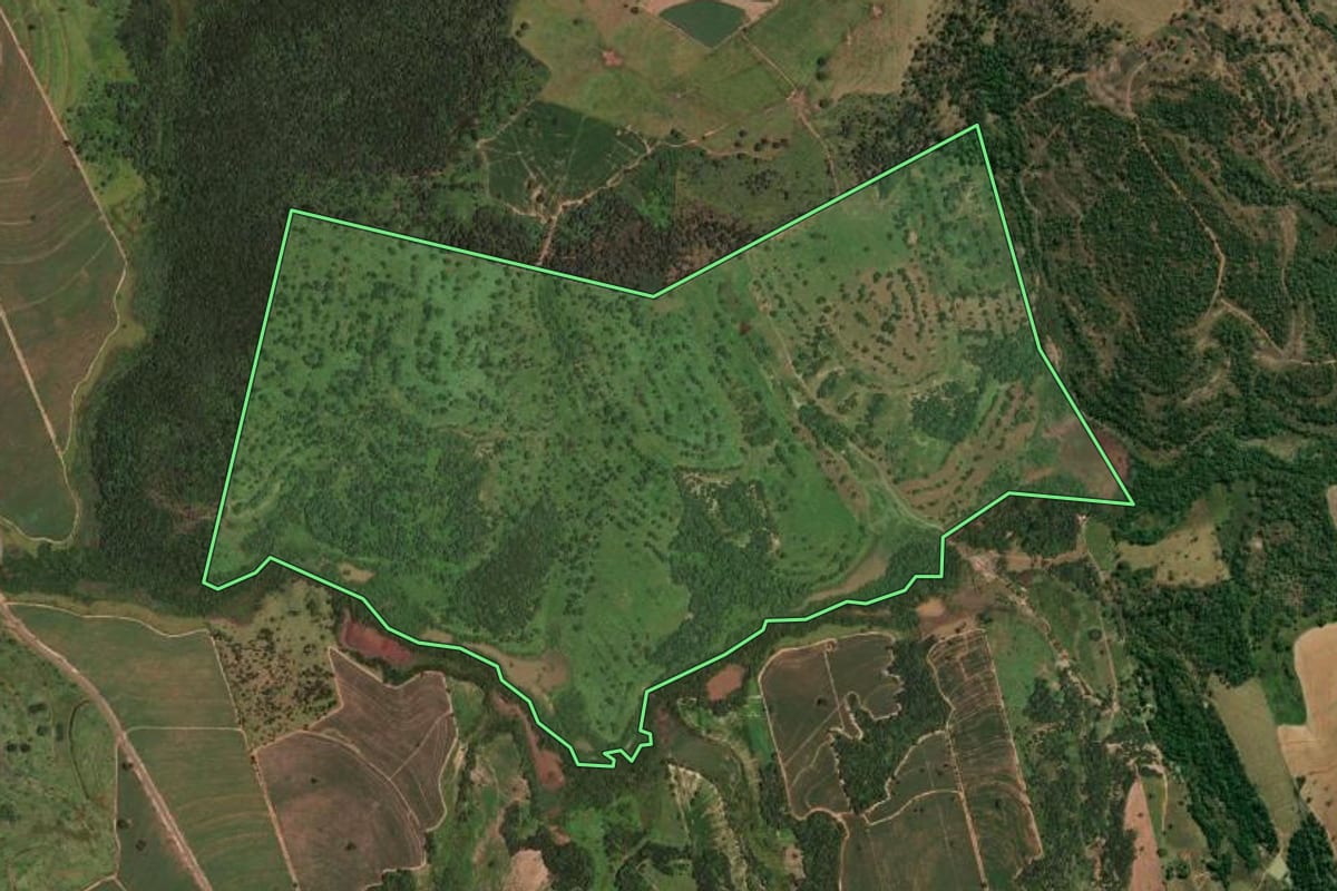 Imagem de satélite do imóvel rural em Nova Castilho (SP), com o contorno declarado no CAR desenhado por cima.
