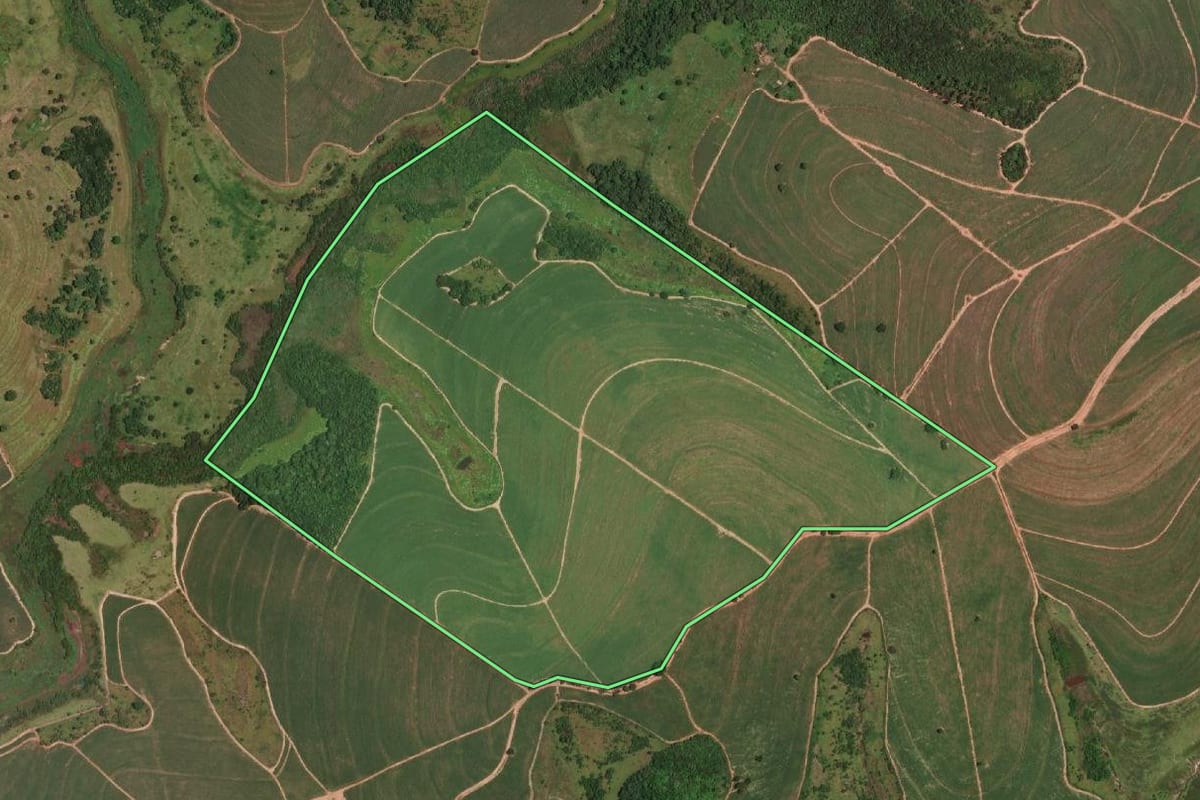 Imagem de satélite do imóvel rural em Nova Castilho (SP), com o contorno declarado no CAR desenhado por cima.