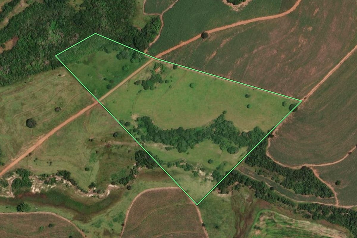 Imagem de satélite do imóvel rural em Nova Castilho (SP), com o contorno declarado no CAR desenhado por cima.