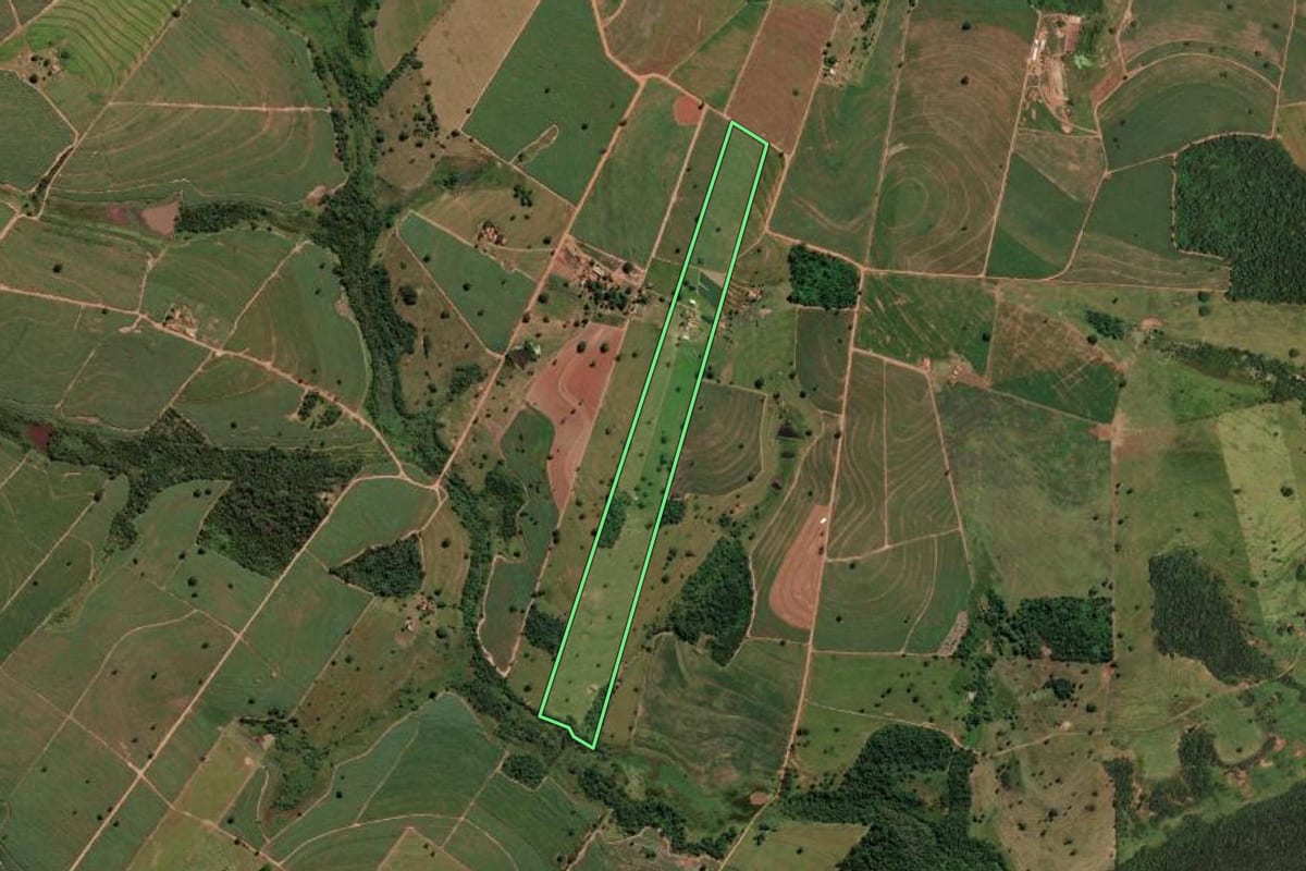 Imagem de satélite do imóvel rural em Nova Castilho (SP), com o contorno declarado no CAR desenhado por cima.