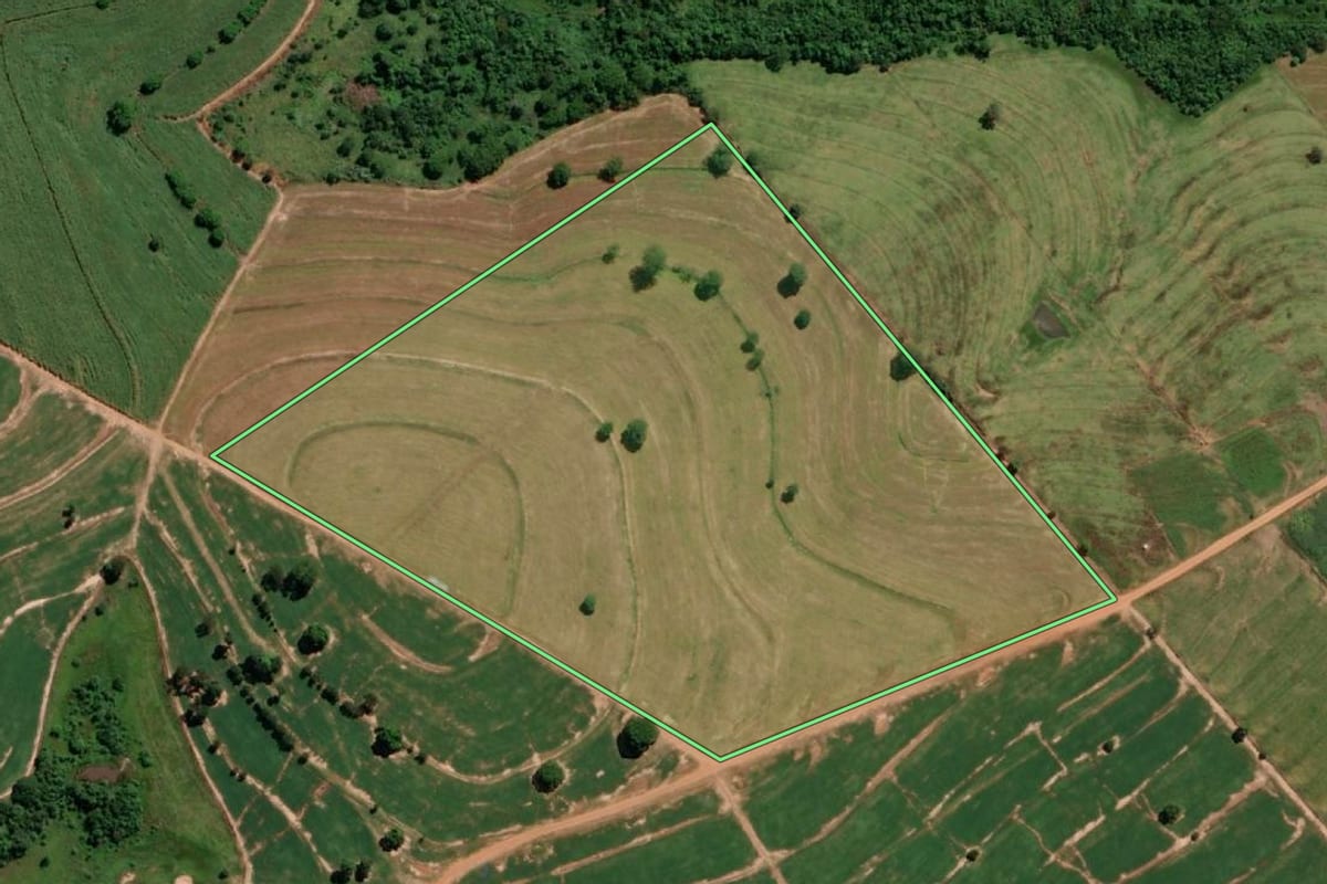 Imagem de satélite do imóvel rural em Nova Castilho (SP), com o contorno declarado no CAR desenhado por cima.