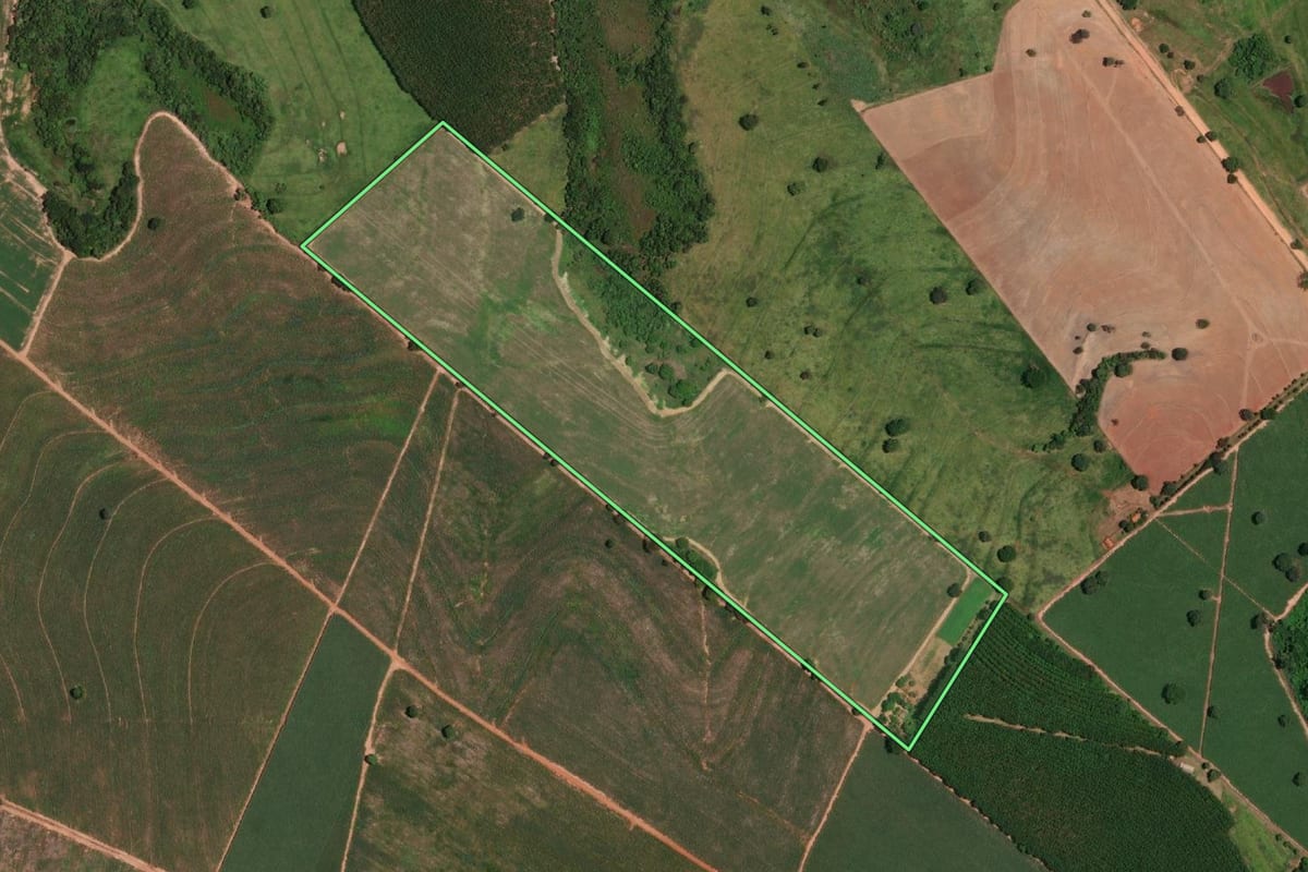 Imagem de satélite do imóvel rural em Nova Castilho (SP), com o contorno declarado no CAR desenhado por cima.