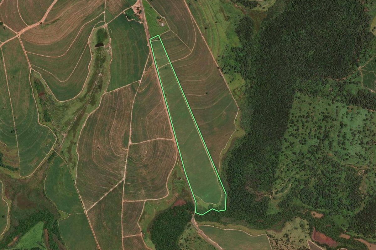 Imagem de satélite do imóvel rural em Nova Castilho (SP), com o contorno declarado no CAR desenhado por cima.