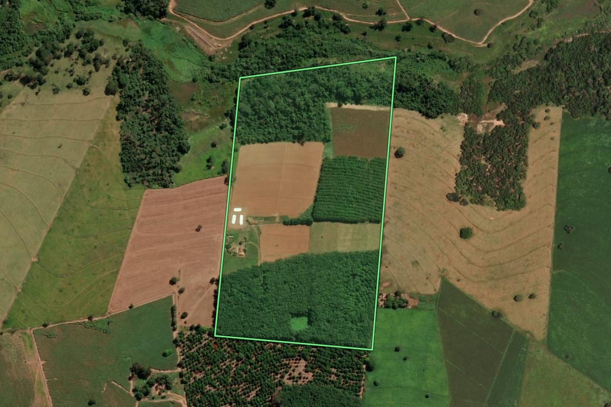 Imagem de satélite do imóvel rural em Nova Castilho (SP), com o contorno declarado no CAR desenhado por cima.