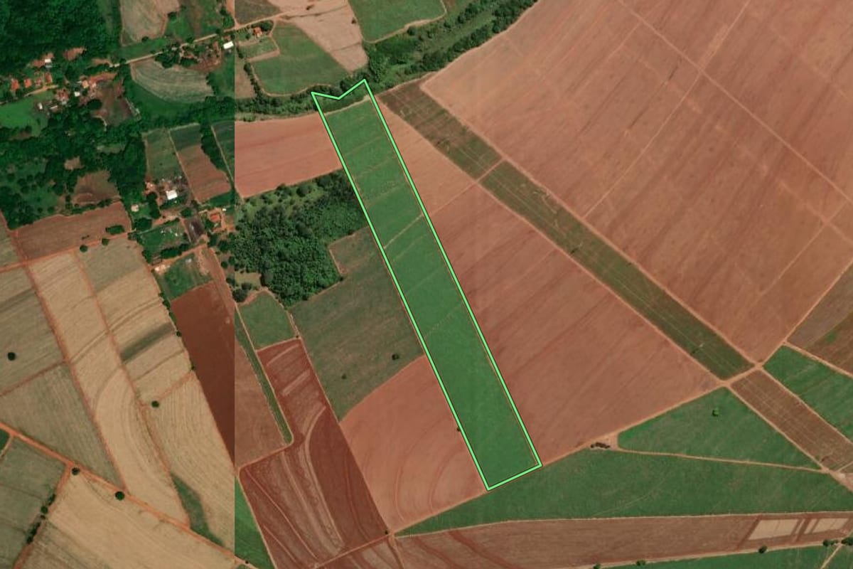 Imagem de satélite do imóvel rural em Nova Europa (SP), com o contorno declarado no CAR desenhado por cima.