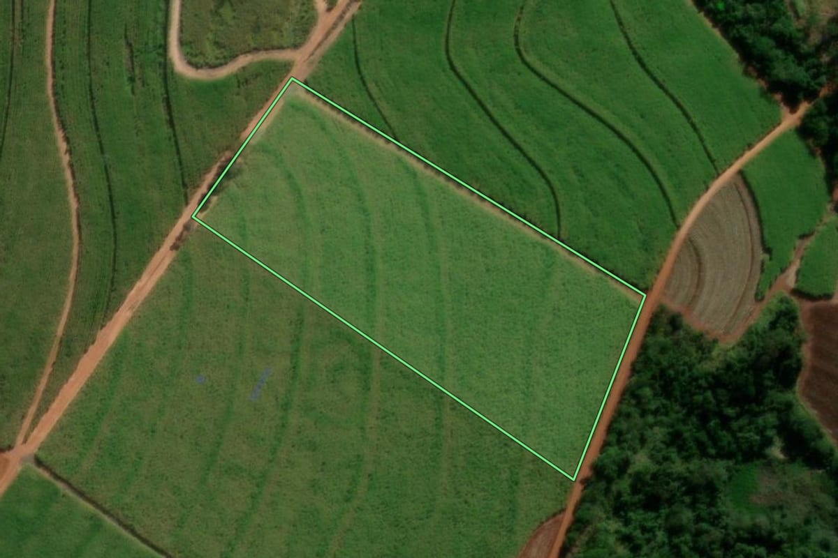 Imagem de satélite do imóvel rural em Nova Europa (SP), com o contorno declarado no CAR desenhado por cima.