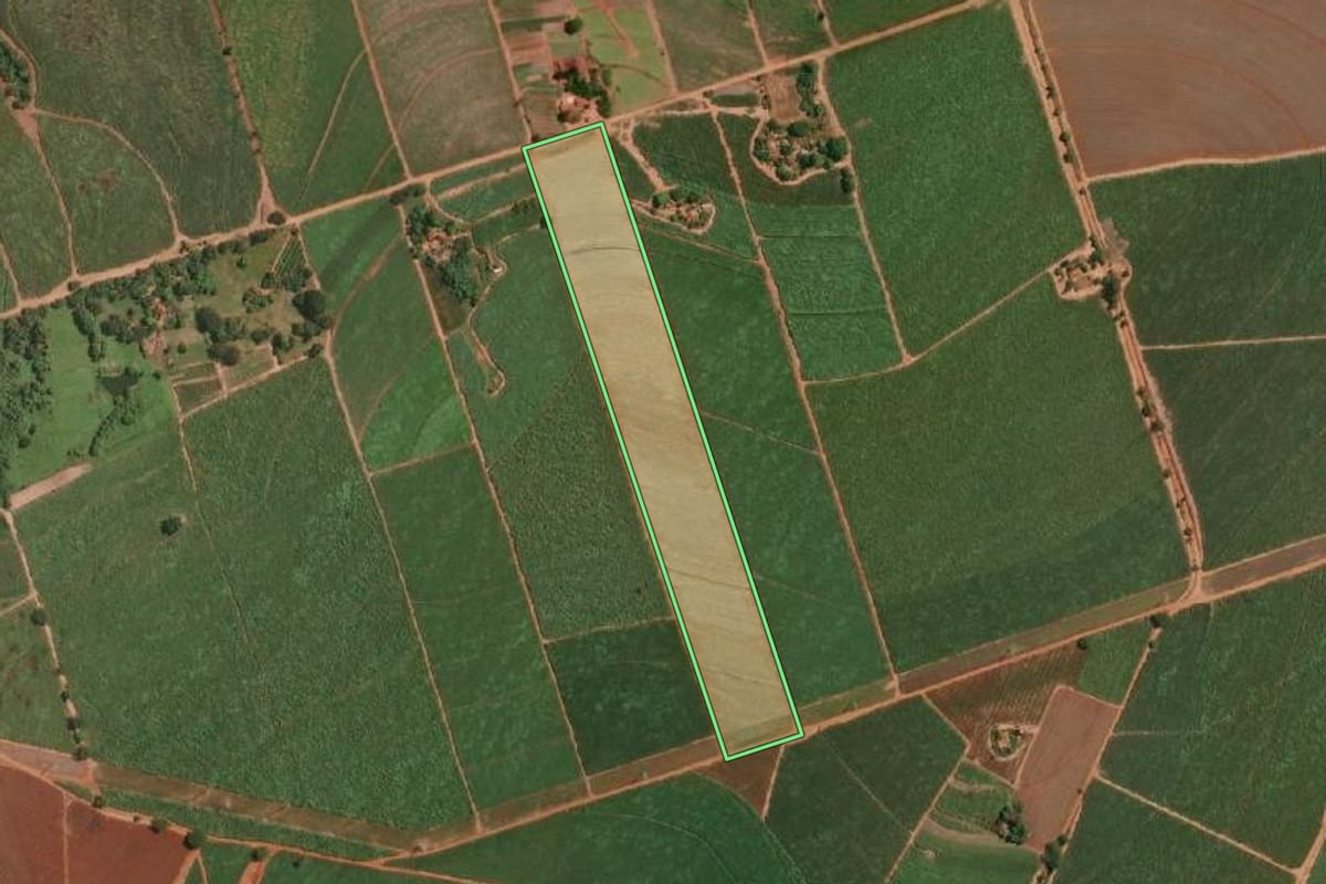 Imagem de satélite do imóvel rural em Nova Europa (SP), com o contorno declarado no CAR desenhado por cima.