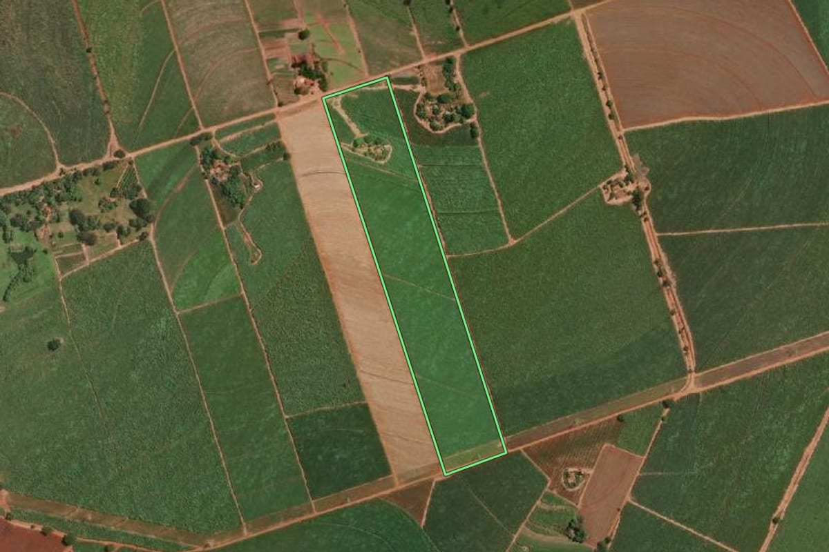 Imagem de satélite do imóvel rural em Nova Europa (SP), com o contorno declarado no CAR desenhado por cima.