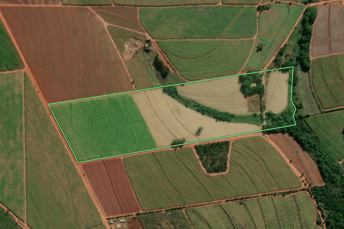 Imagem de satélite do imóvel rural em Nova Europa (SP), com o contorno declarado no CAR desenhado por cima.