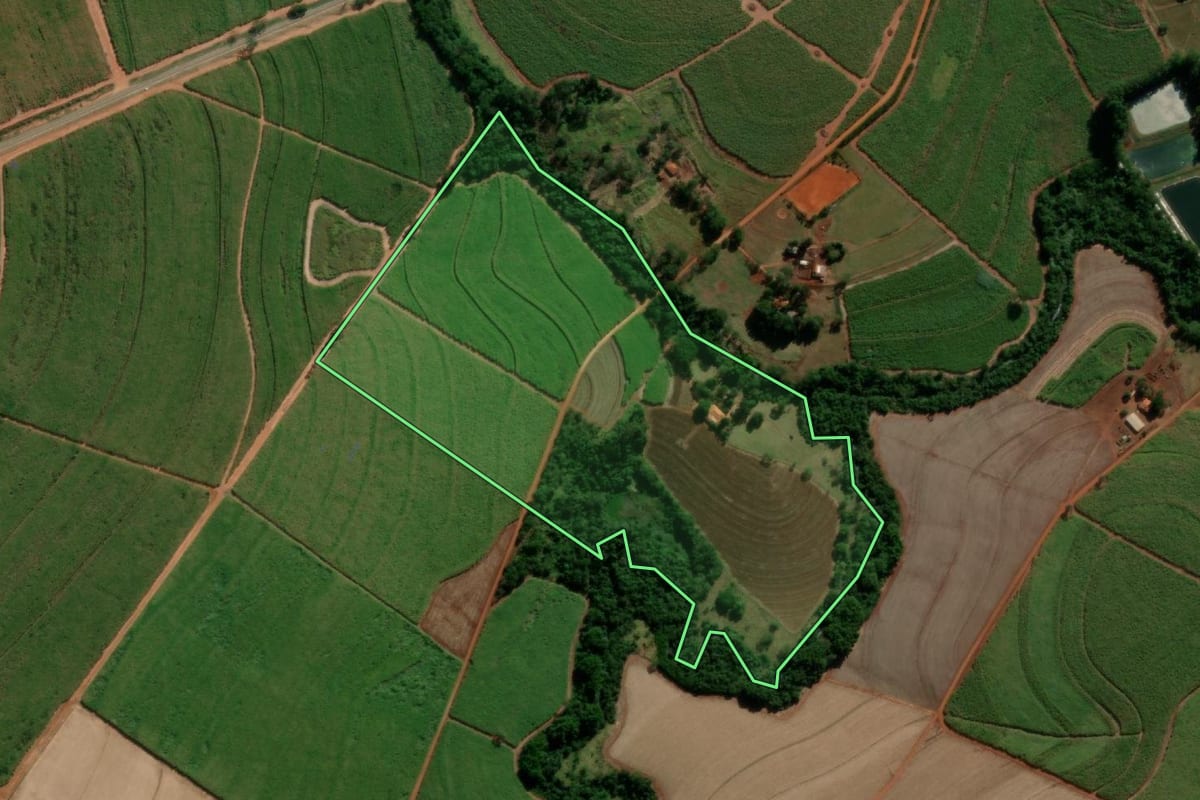 Imagem de satélite do imóvel rural em Nova Europa (SP), com o contorno declarado no CAR desenhado por cima.