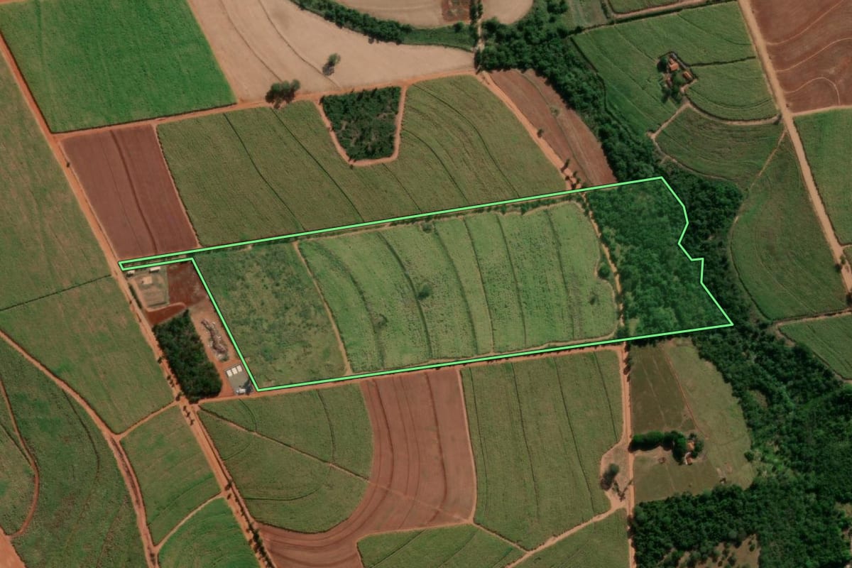 Imagem de satélite do imóvel rural em Nova Europa (SP), com o contorno declarado no CAR desenhado por cima.