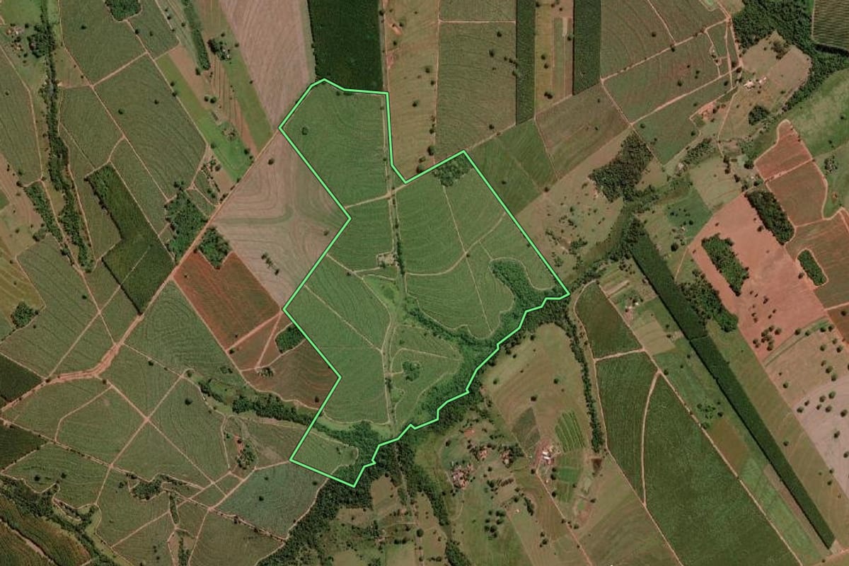 Imagem de satélite do imóvel rural em Nova Granada (SP), com o contorno declarado no CAR desenhado por cima.