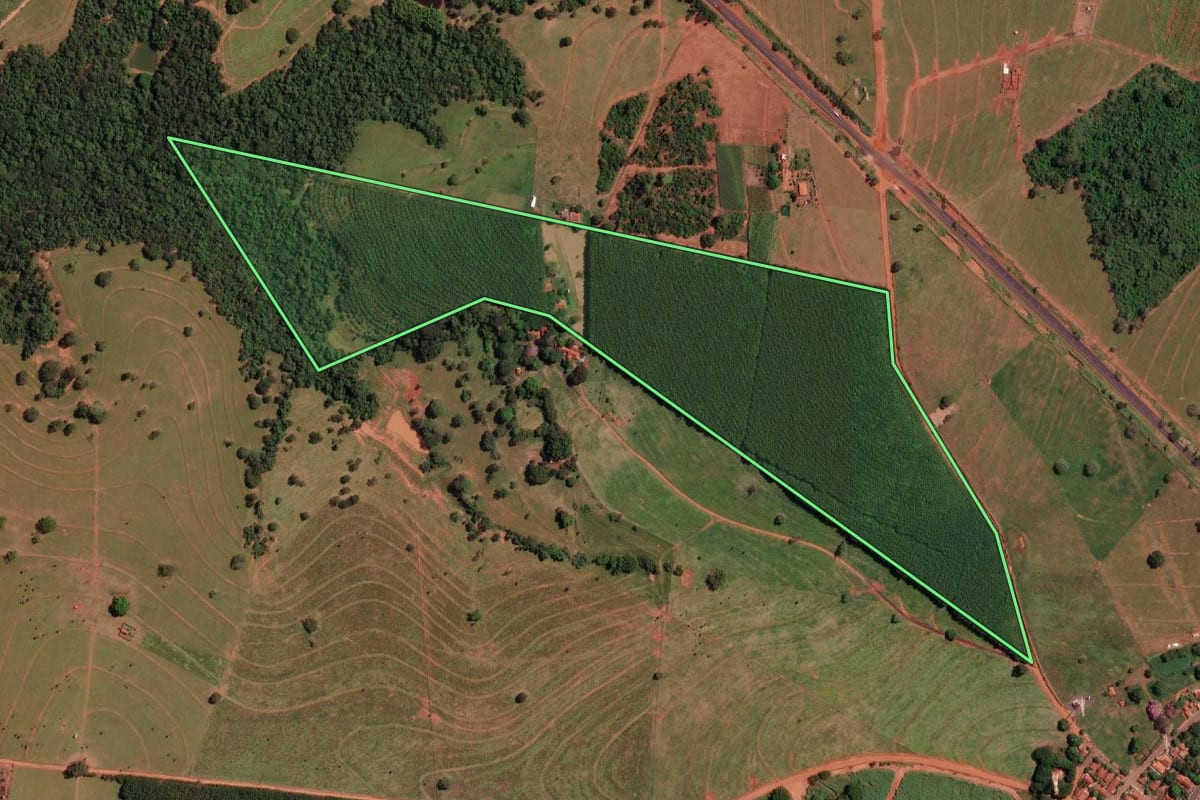 Imagem de satélite do imóvel rural em Nova Granada (SP), com o contorno declarado no CAR desenhado por cima.