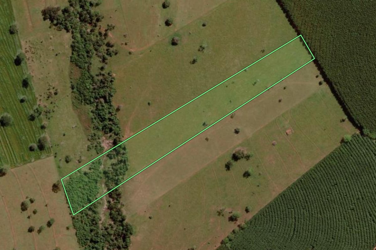 Imagem de satélite do imóvel rural em Nova Granada (SP), com o contorno declarado no CAR desenhado por cima.