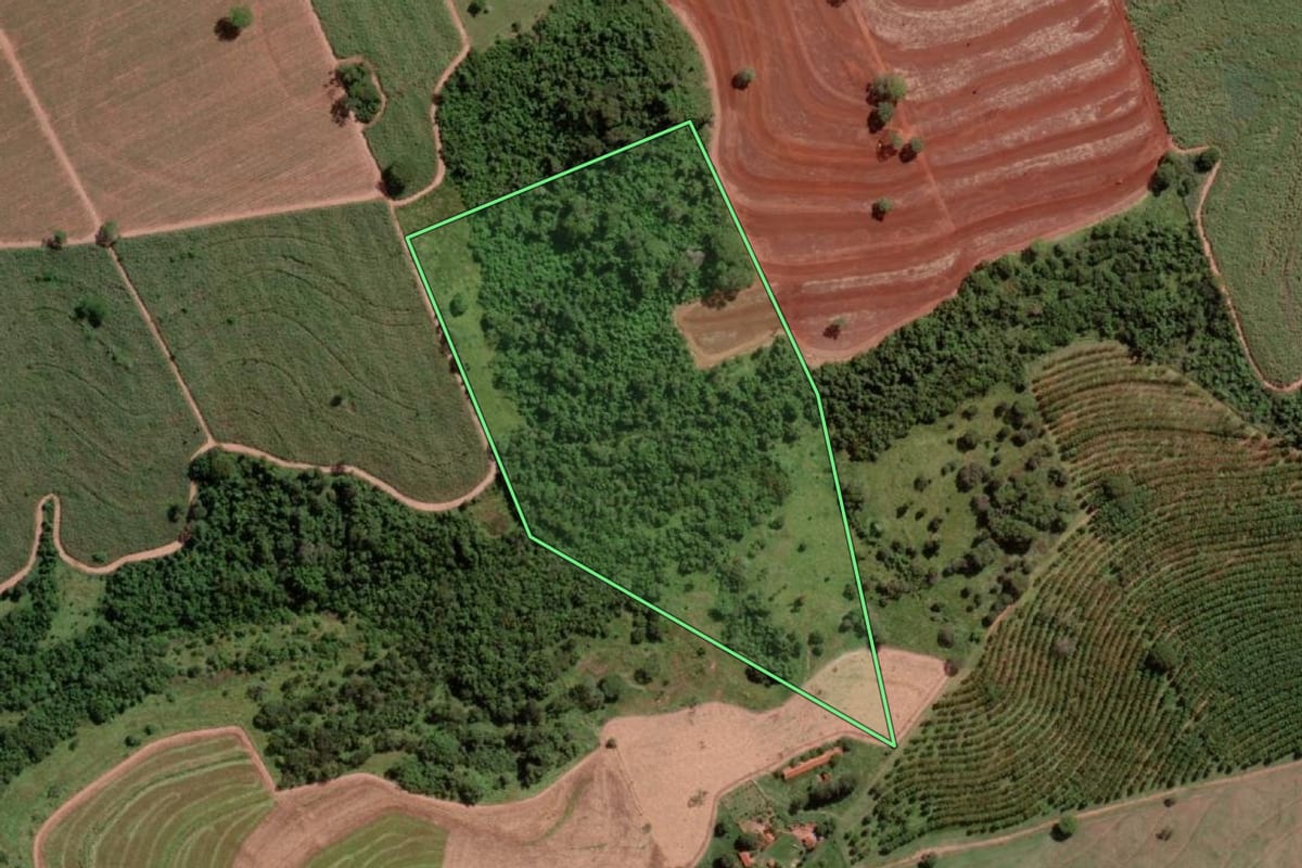 Imagem de satélite do imóvel rural em Nova Granada (SP), com o contorno declarado no CAR desenhado por cima.