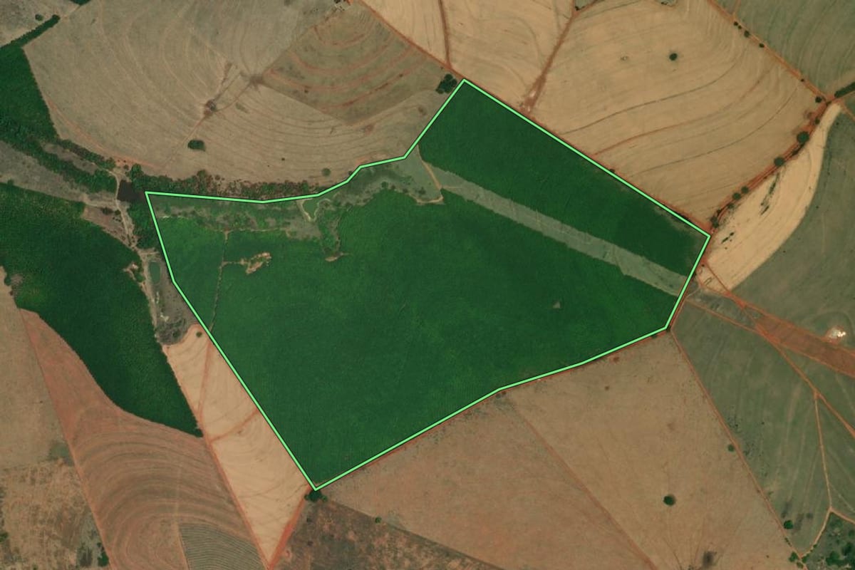 Imagem de satélite do imóvel rural em Nova Granada (SP), com o contorno declarado no CAR desenhado por cima.