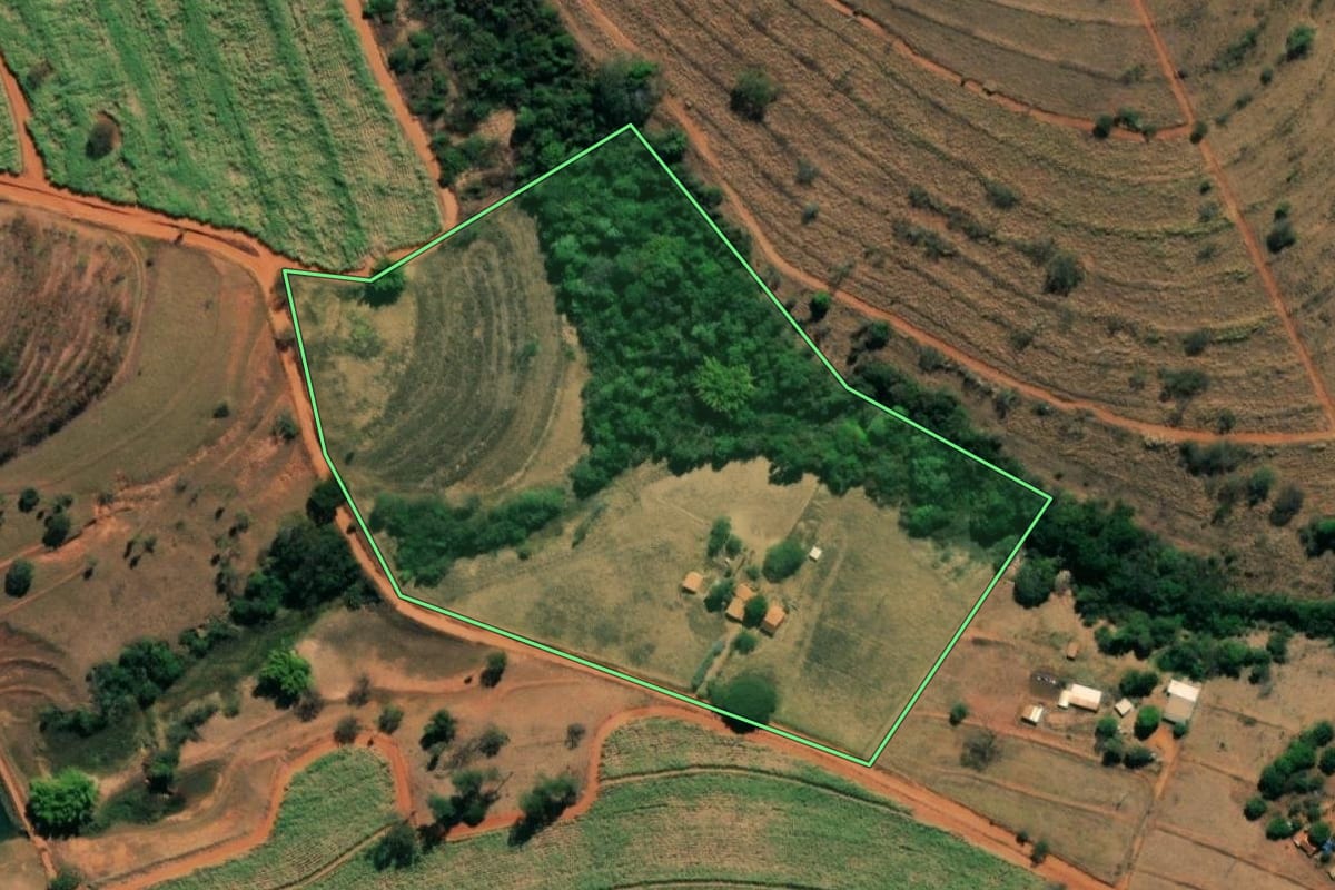 Imagem de satélite do imóvel rural em Nova Granada (SP), com o contorno declarado no CAR desenhado por cima.