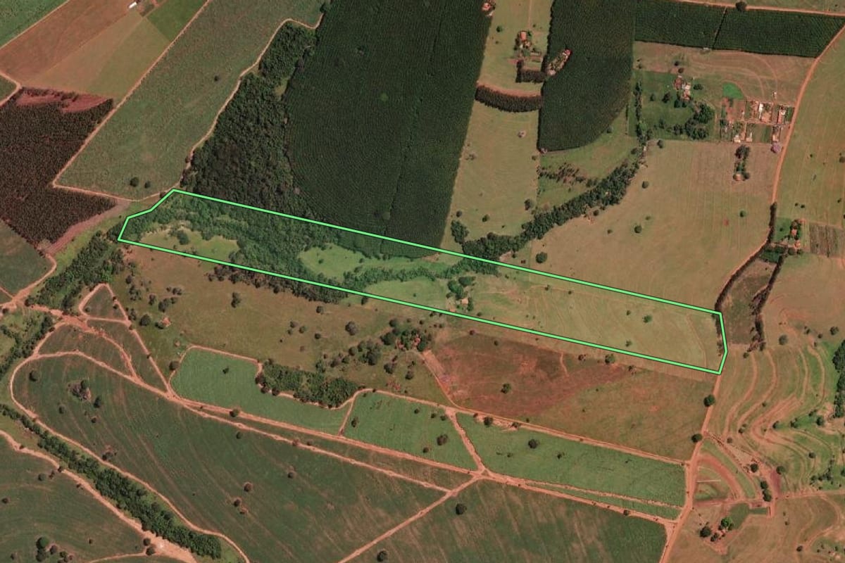 Imagem de satélite do imóvel rural em Nova Granada (SP), com o contorno declarado no CAR desenhado por cima.